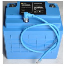 Lithium Iron Phosphate Battery Pack 12V với nhà ở cho E xe và E xe